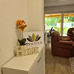 Orhidea
